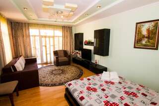Виллы Beautiful Apartments in Villa near Airport Бухарест Вилла Делюкс-53